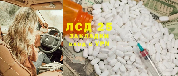 ГАЛЛЮЦИНОГЕННЫЕ ГРИБЫ Баксан