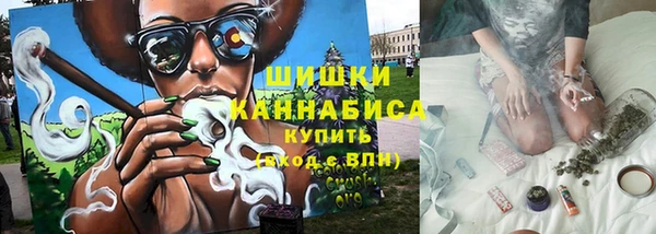 ГАЛЛЮЦИНОГЕННЫЕ ГРИБЫ Баксан