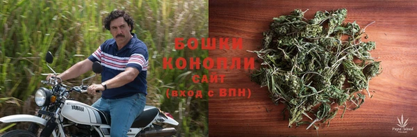ГАЛЛЮЦИНОГЕННЫЕ ГРИБЫ Баксан