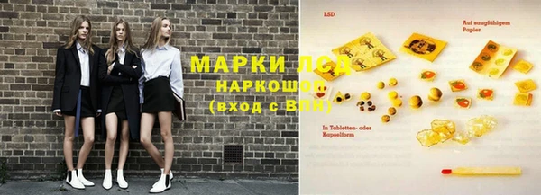 ГАЛЛЮЦИНОГЕННЫЕ ГРИБЫ Баксан