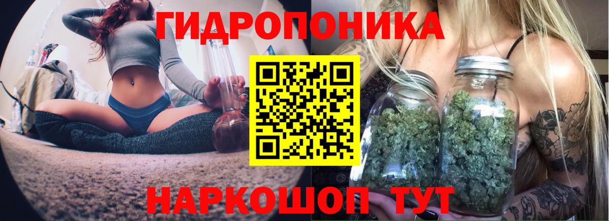 Шишки марихуана VHQ Бор
